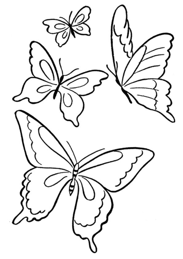 mariposas para colorear 3